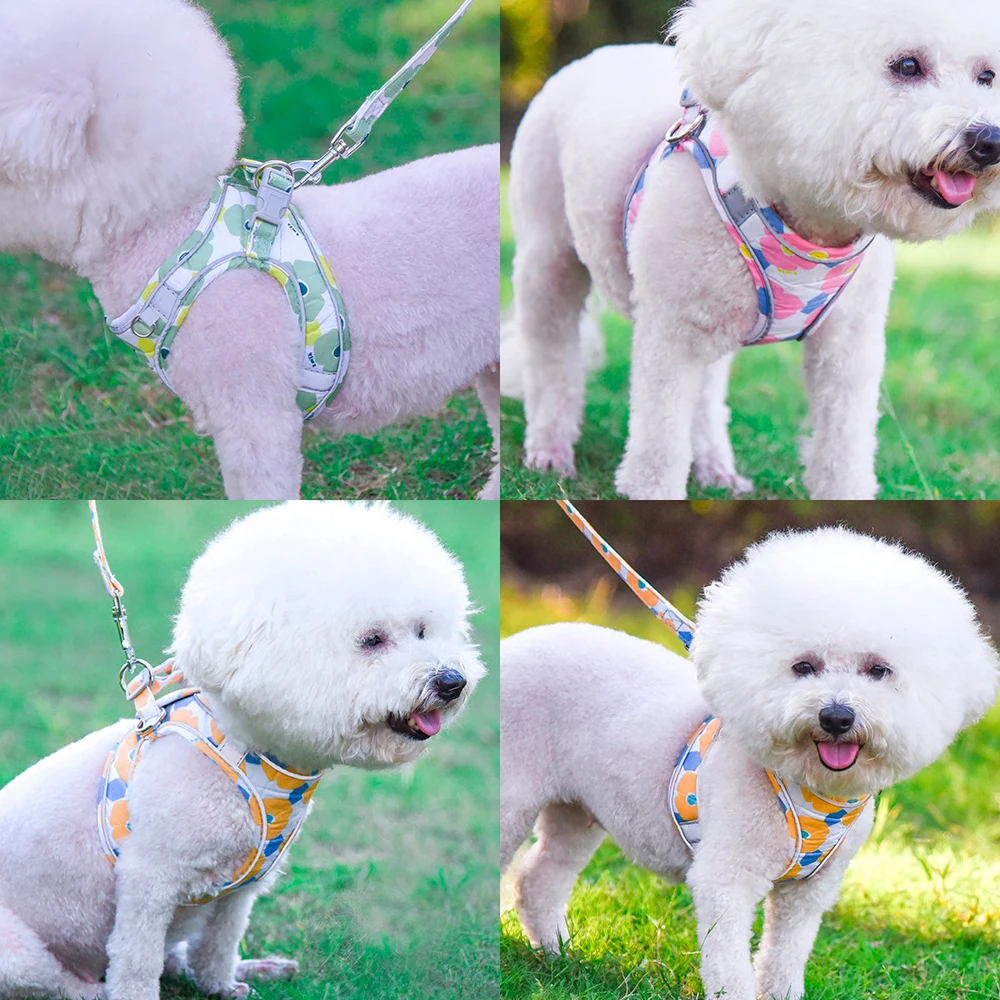 Очаровательная поводок для собак с цветочным узором маленьких кошек поводком 1 5