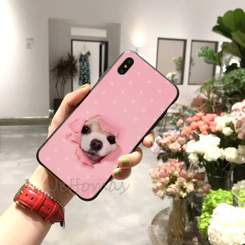 

Animal Chihuahua dog Phone Case for iPhone 11 12 mini pro XS MAX 8 7 6 6S Plus X 5S SE 2020 XR