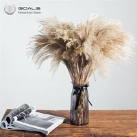 dried pampas grass christmas decorations 2030 pcs natural plant ornament wedding decor flower bunch storage for 2 years