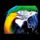 Светящиеся наклейки на одежду с изображением головы попугая