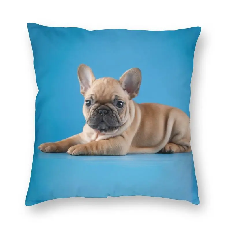 

Милые наволочки для домашних животных с французским бульдогом, украшение для дивана, квадратная наволочка для подушки с изображением французской собаки, 45x45 см