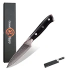 Нож GRANDSHARP из дамасской стали 3,5 дюйма, японская Дамасская нержавеющая сталь VG-10, мозаичная заклепка, Ручка G10, инструмент для очистки фруктов, кухонный инструмент