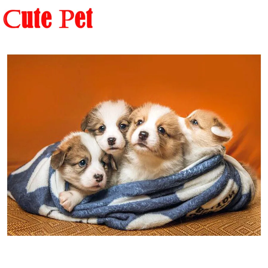 Pup художественная живопись алмазная 5d коргис diy для украшения комнаты Алмазная