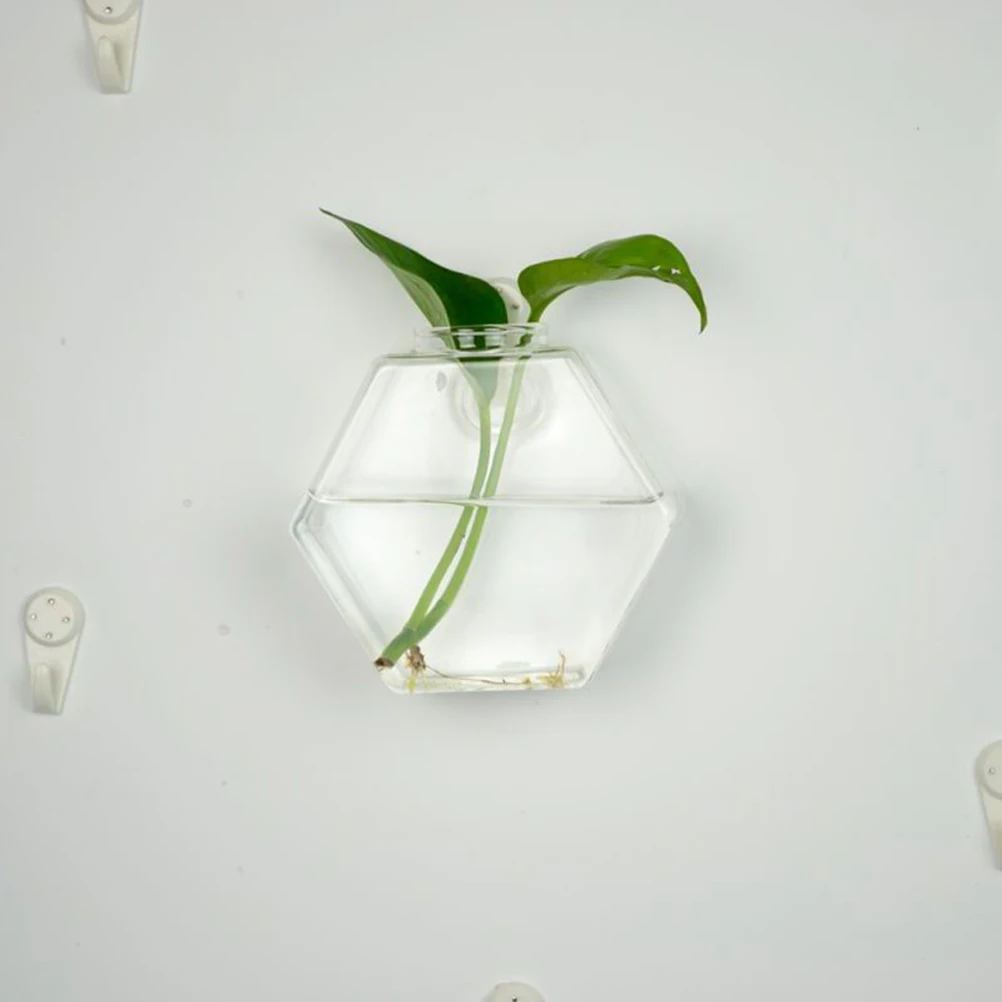 2020 2 вида подвесных стеклянных ВАЗ подвесной Террариум Гидропонные растения