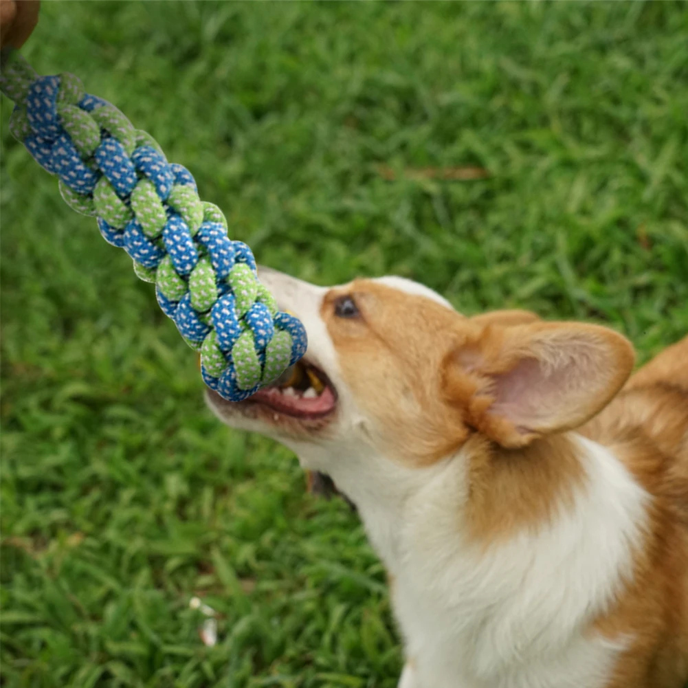 Укус упорные инструменты обучения играть тянуть открытый подвесной весенний