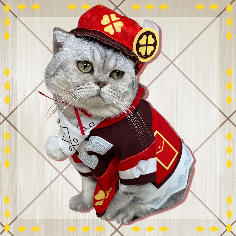 Anime Jogo Genshin Impacto Klee Pet Cão Gato Fantasias Cosplay