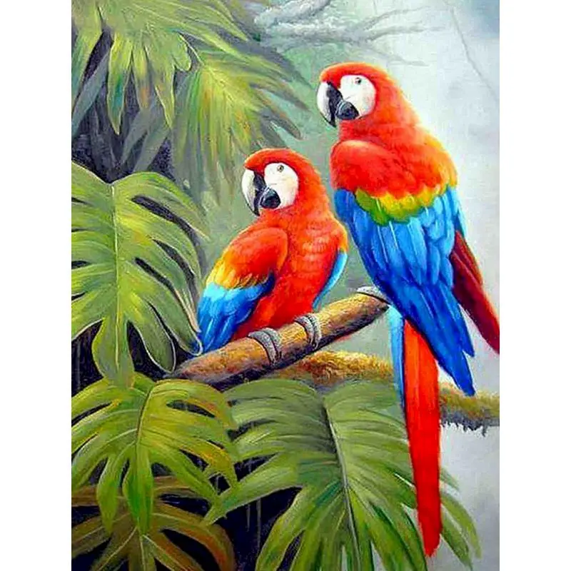 

GATYZTORY 60x75cm Parrot DIY Painting By Numbers Animal Handpainted Oil Painting Canvas Colouring Home Wall Decor