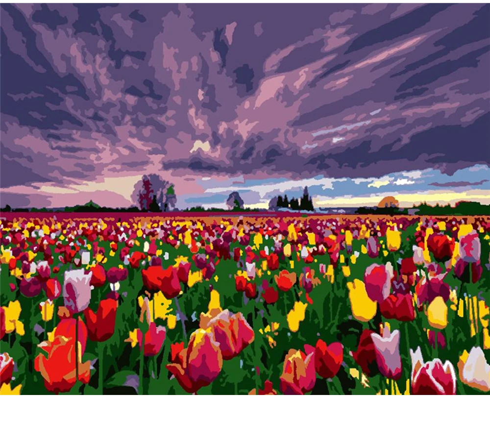 

CraftArtGo картина по номерам Цветок Картина на холсте Ручная роспись подарок картина по номерам водопад комплекты, украшение для дома