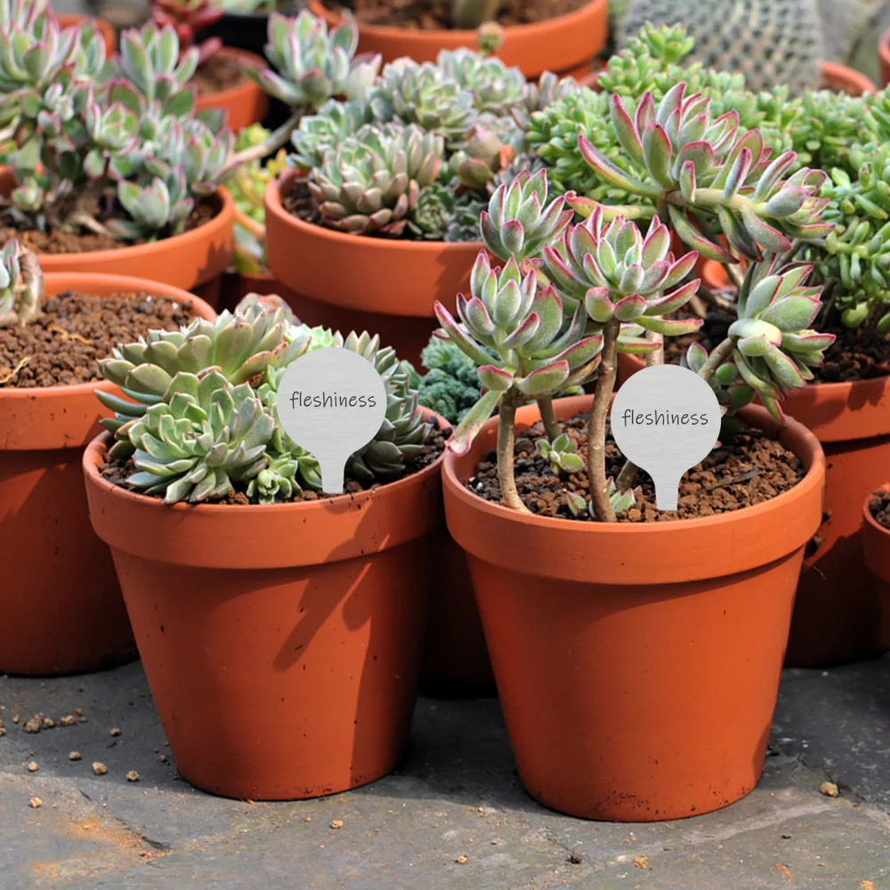 

50pcs Round Metal Plant Labels Gardening Markers Stainless Steel Inserted Tags