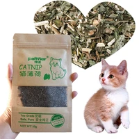 pet supplies menthol flavor funny cat toys new organic 100 natural premium catnip cattle grass 10g pet products dropshipping