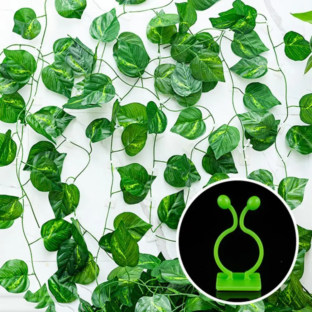 

Saving Space Multifunctional Garden Support Binding Vine Wall Hook for Home Use