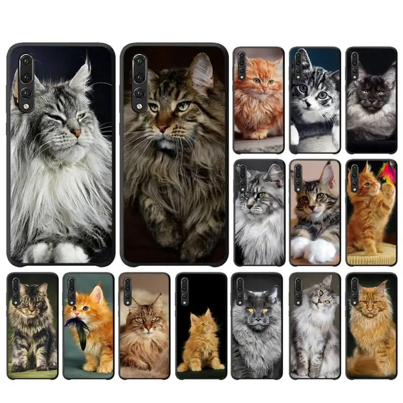 

FHNBLJ pet maine coon cat Phone Case for huawei P 8 9 10 20 30 40 pro lite P9 lite 2019