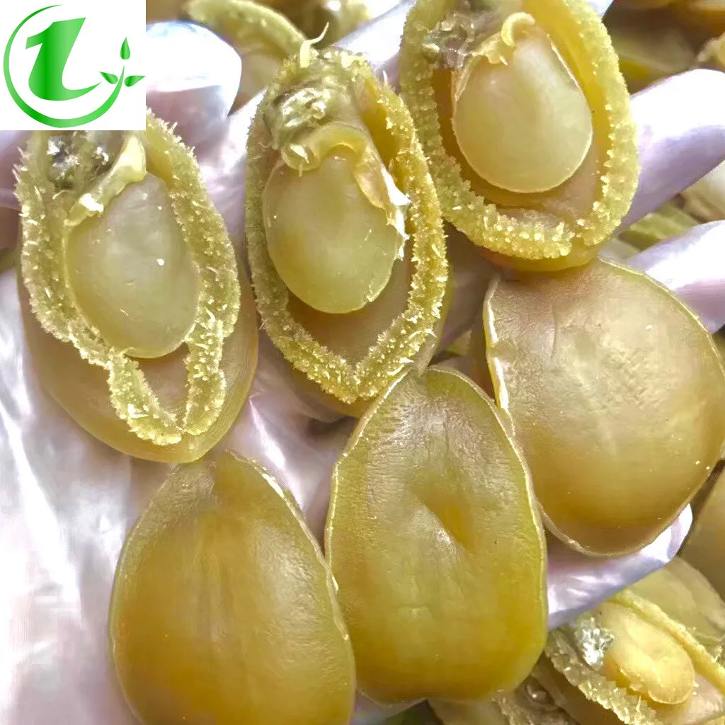 

Далянь Абалон, сушеный Золотой Абалон, дикий Абалон, сушеные морепродукты, 60-70 головок/500 г