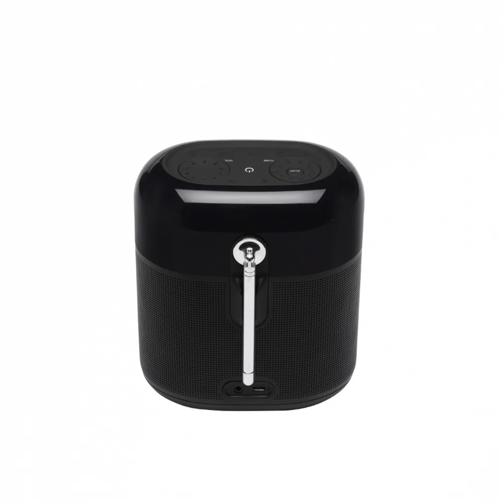 Портативная акустическая система JBL Tuner XL FM|Портативные колонки| |