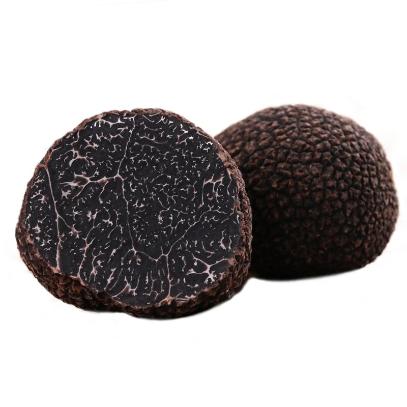 

Fresh wild black truffle bacteria 3-5 cm truffle truffles 250 g