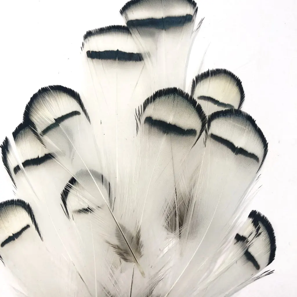 

20-100pcs/lot Feather Pheasant Chicken Feathers for Jewelry Making Christmas Holiday Decoration Accessories Plumes 3-7cm