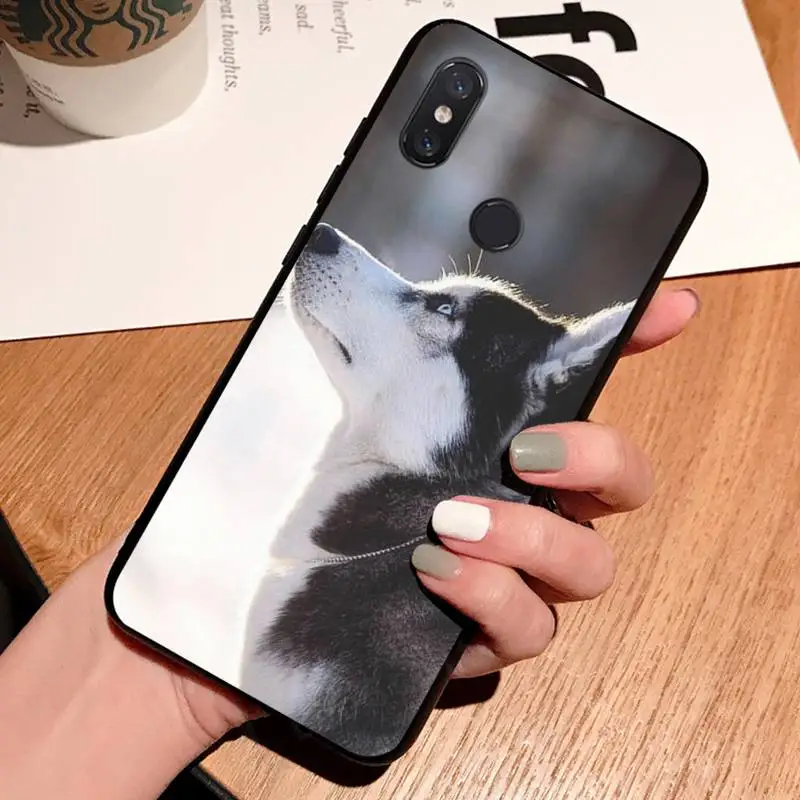 

Husky Dog Phone Case For Xiaomi Redmi 7 8 9t a3 9se k20 mi8 max3 lite 9 note 9s 10 pro