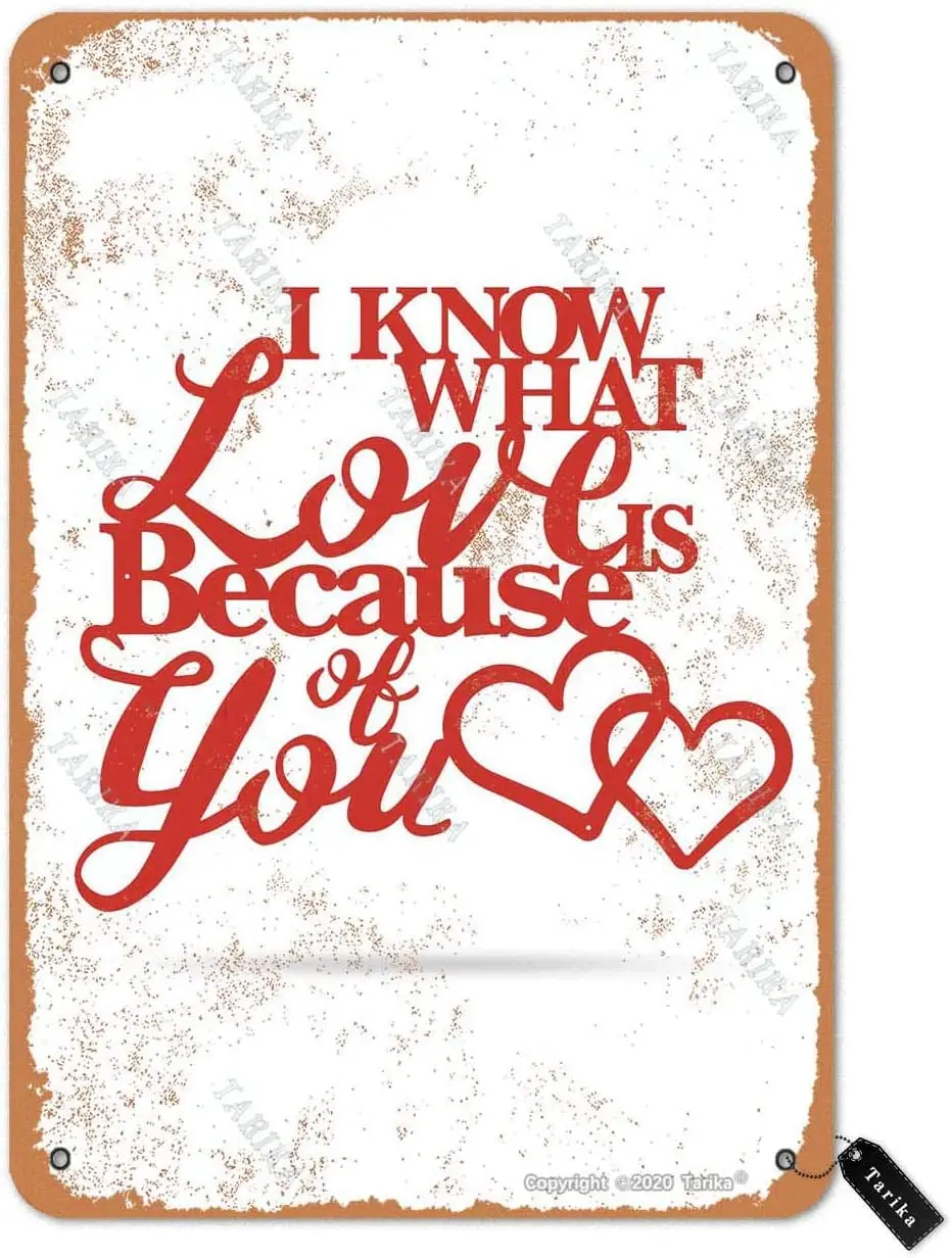 Тарика я знаю что любит из за вас 20x30 дюймов металлический ретро стиль