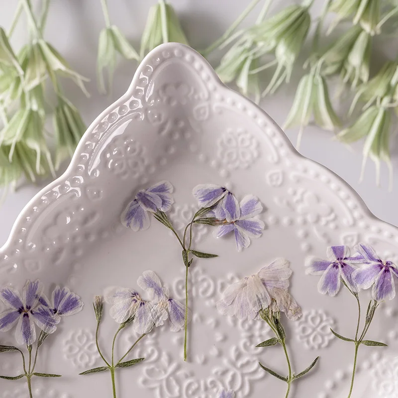 

60pcs Pressed Dried Flower Phlox drummondii With Stem Herbarium For Epoxy Jewelry Bookmark Phone Case Makeup Nail Art Craft DIY
