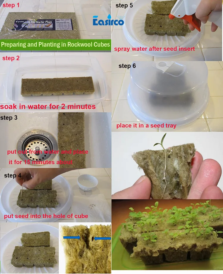 

100 Cubes grow plug one pack Grodan 1 Starter Plugs Cubes - rockwool hydroponic