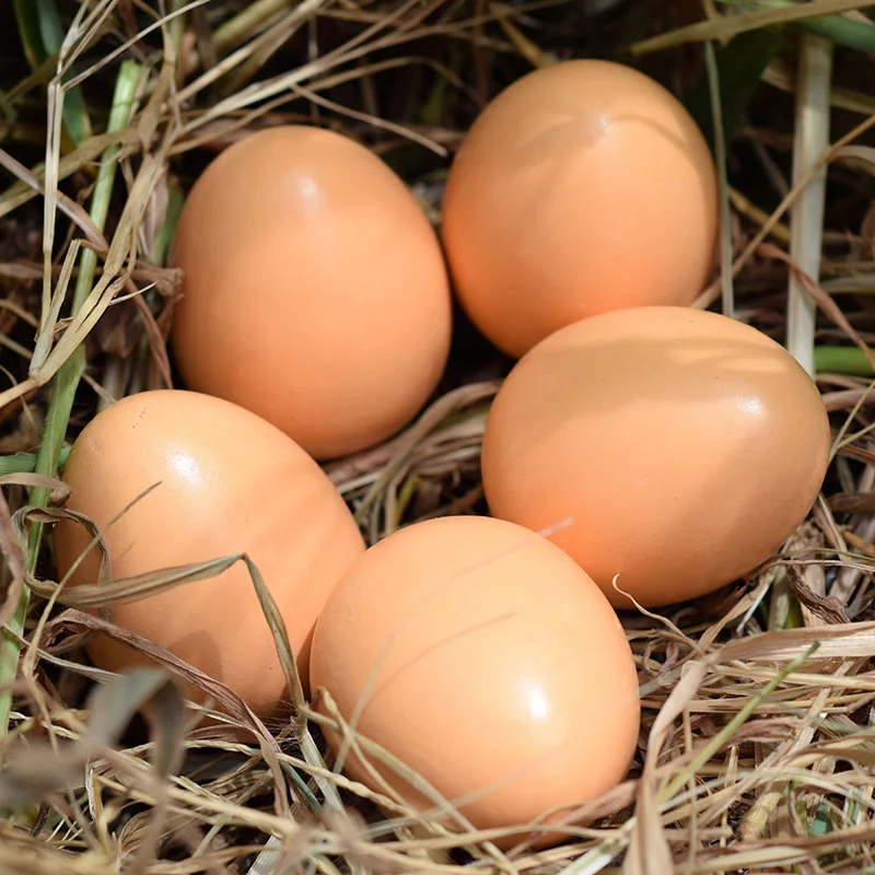 Модель деревянного яйца детский игровой домик игрушка кухня приготовление еды