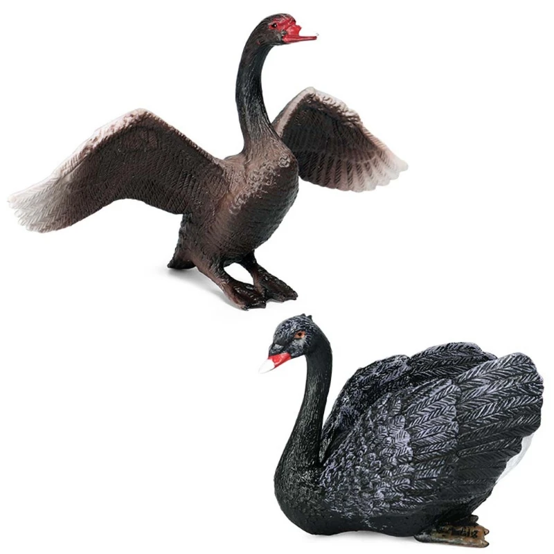 

Simulation Static Solid Animal Model Ornaments Realistic Swan Children Educational Props Scene Decoration Kids Toy