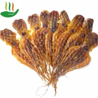 sun dried octopus 100 dried unsalted octopus soup ingredients seafood sea fishing