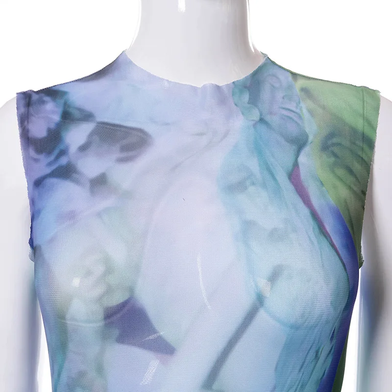 

2021 summer new printed round neck sleeveless mesh see-through long sexy dress