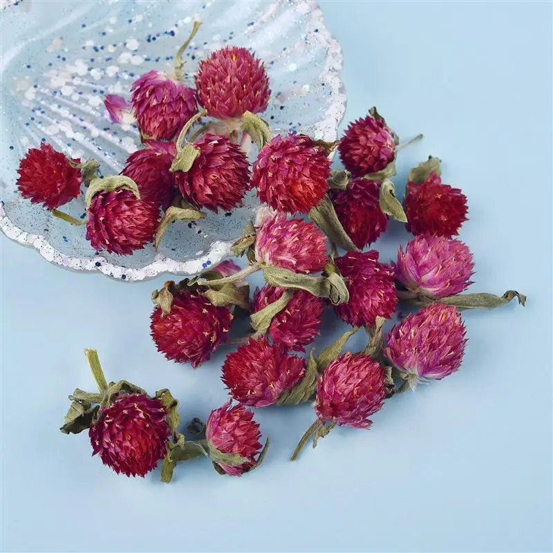 

DIY Dried Flower UV Epoxy Resin Filling Real Flower For Home Decoration Handicraft Resin Crafts