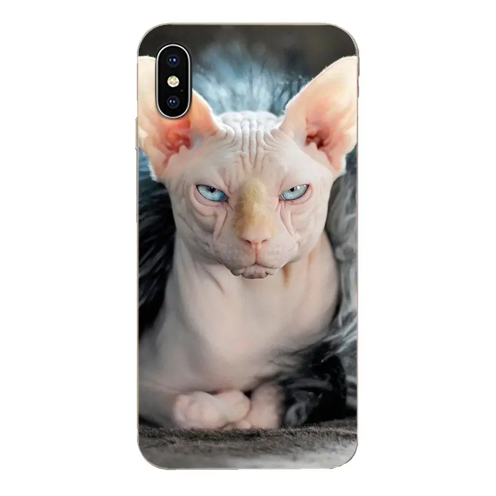 Большая дружественная кошка Sphynx для Huawei Honor Mate 7 7A 8 9 10 20 V8 V9 V10 V30 P40 G Lite Play Mini Pro P Smart