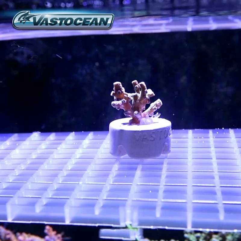 

VASTOCEAN Seawater Coral Hook and Buckle Base Coral Base Breeding Stand Aquarium Landscape Black/Transparent Lattice