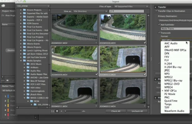 

Prelude CC 2020 for Windows