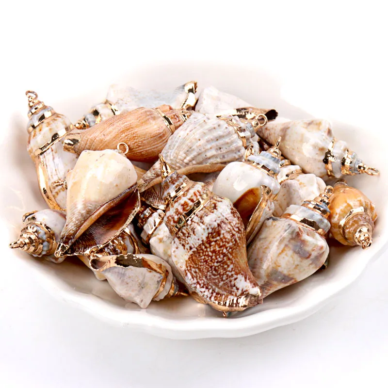 5 шт. спиральные ракушки для украшения дома|Ракушки и морские звезды| |