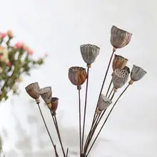 5 шт. натуральный сушеный цветок лотоса украшение для свадебной