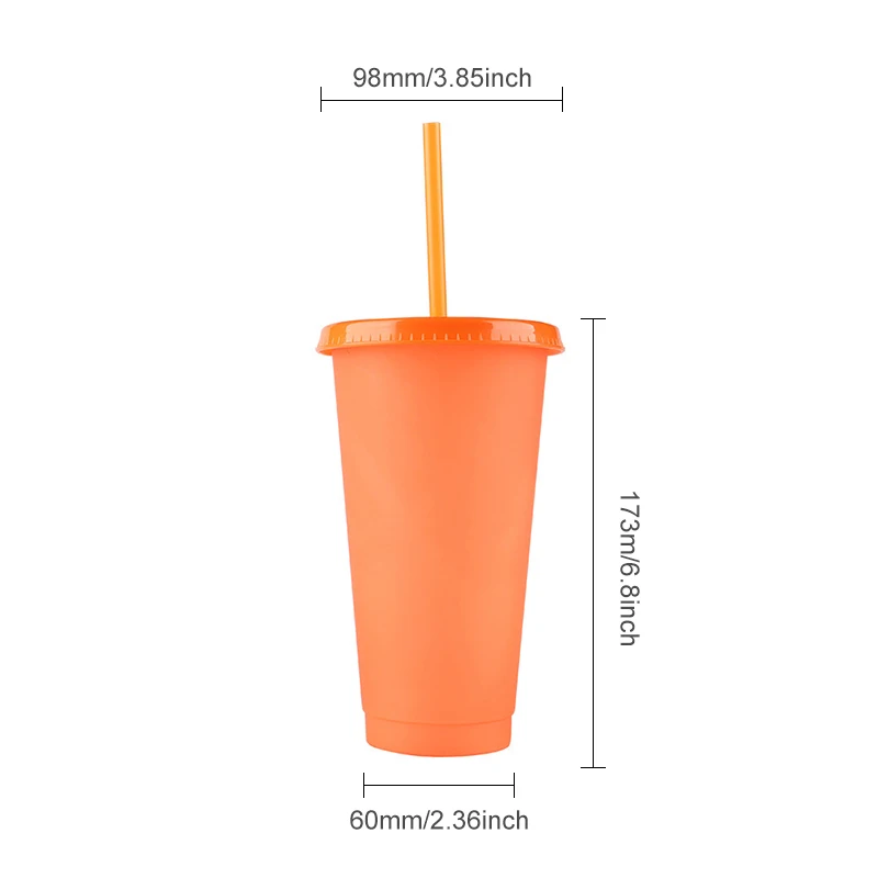 

710ml Reusable Straw Cup Water Cup Coffee Juice Straw Mug Color Changing Cold Cups Plastic Bottom Outdoor Portable Cup Tumbler