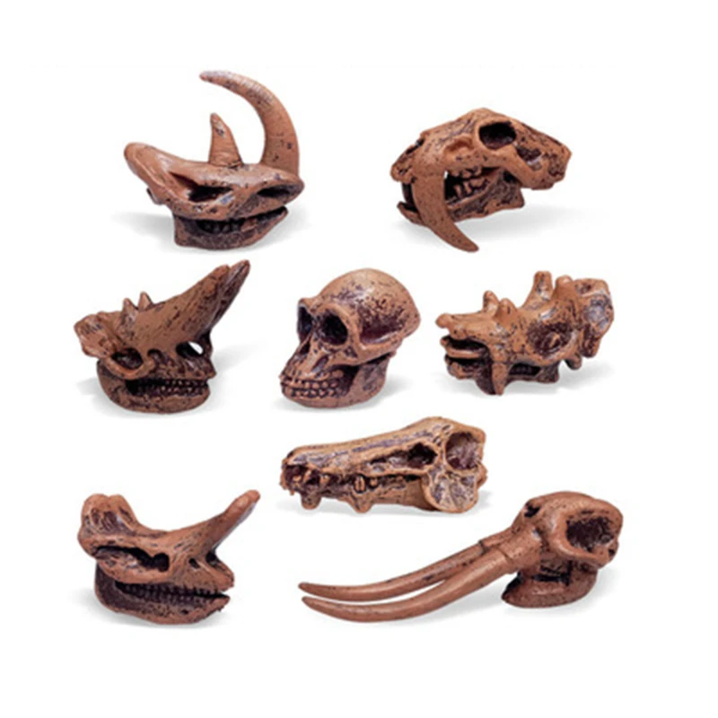 

Children Toys Tyrannosaurus Skull Fossil Archeology Prehistoric Mammal Dinosaur Skull Fossil Model Set Science Educational Toys