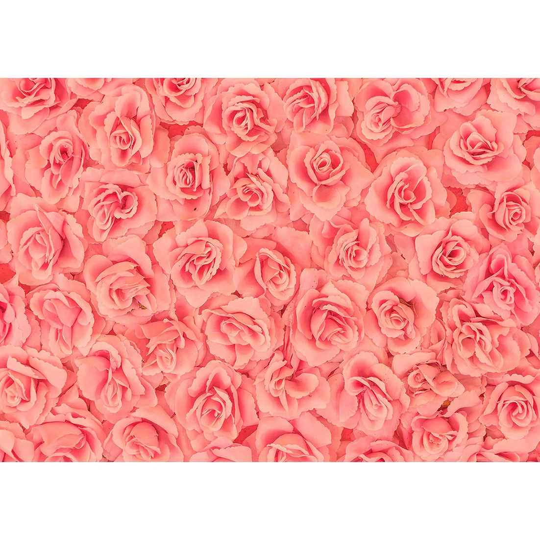 Розовые цветы фото Фоны индивидуальный фон для вечеринки будущей матери