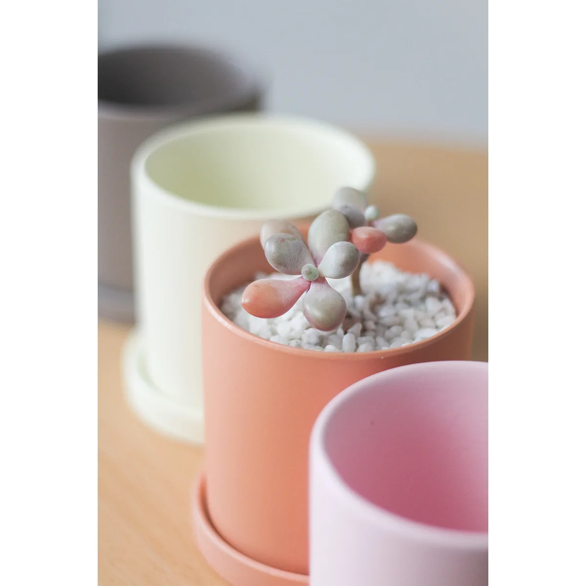 Горшок разноцветный керамический для растений высокотемпературный цветочный