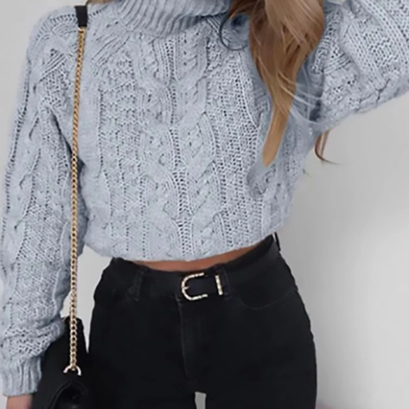 

S-2XL Women Fall and Winter 2021 Fashion Sweaters for Women Solid Color Long Sleeve High Neck Women Sexy Sweaters