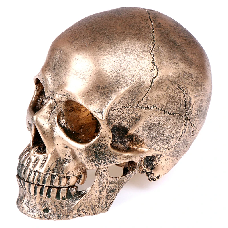 Bronze Resin Skull Model Painting Medical Sculpture Statue Crafts Halloween Home Decoration | Дом и сад