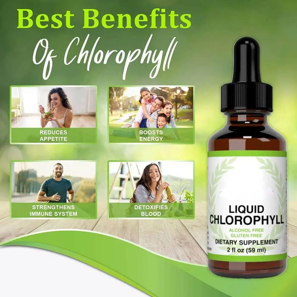 

Chlorophyll Liquid Extract Dietary Supplement Liquid Copper Stability Immune For Digestive Chlorophyll For High Drop Supple D5O5