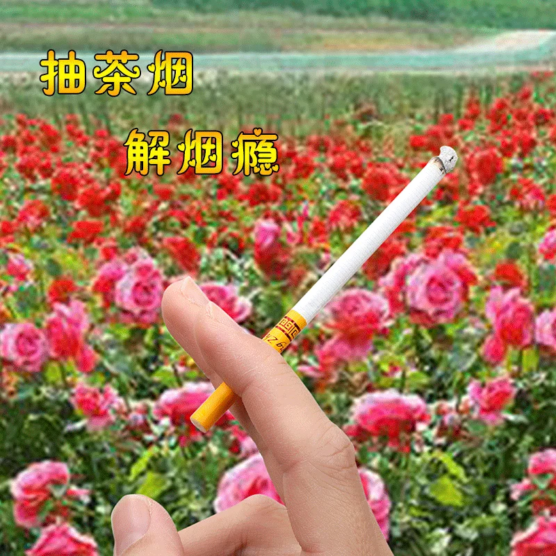 

520 ROSE Tea Smoke A Non Genuine Cigarette Tobacco Monopoly Cigarette For Good Men And Women Fine Authentic Package