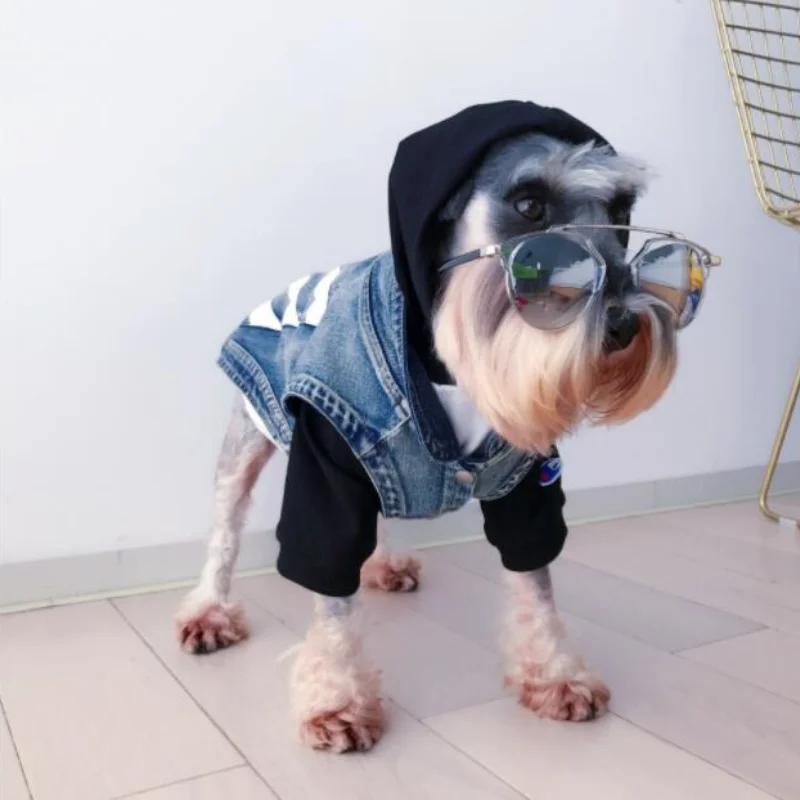 

2021 New Pattern Fashion Pet Cat French Bullfighting Dog Clothes Teddy VIP Dog Vest Small Dog Thin Denim Vest