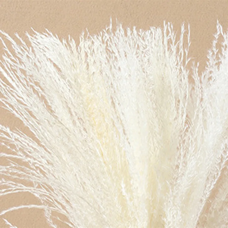 

Dried Flowers Modern Flores Secas Navidad Reed Wedding Christmas Home Decoration Pampas Grass Natural Bouquet Artificial Plants