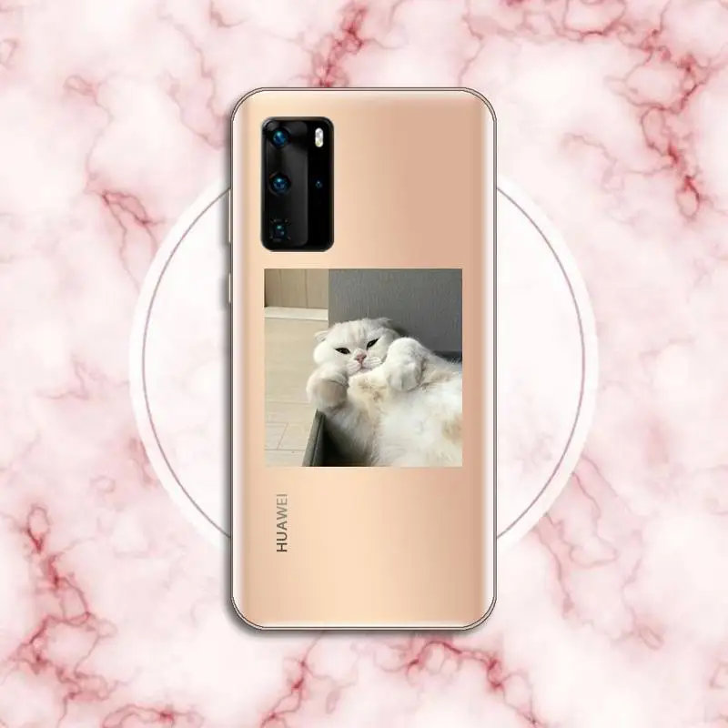 

cute cat Phone Case Transparent for Huawei P20 P30 P40 honor 8 10i P smart 2019 Samsung A71 A21S S10 20 plus