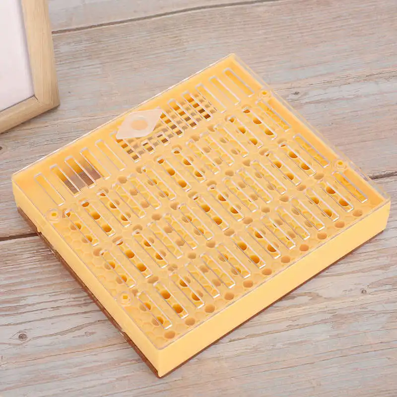 Пластик пчела король разведение коробка инкубатор свободно перемещать