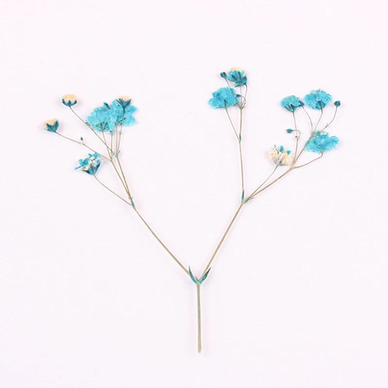 50 шт./пакет Гипсофила сухих цветов с тисненным изображением цветка тиснением