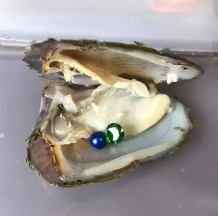 Newest Treasure Oyster Zircon gems and pearls in Freshwater 6-8mmAAA round random oyster shuck best surprise gift N162 | Украшения и