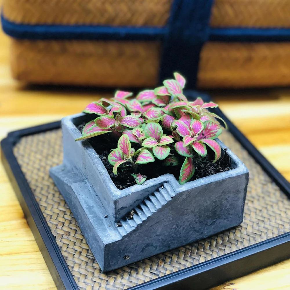 Мясистый цветочный горшок силиконовая форма для террасы растений в горшке