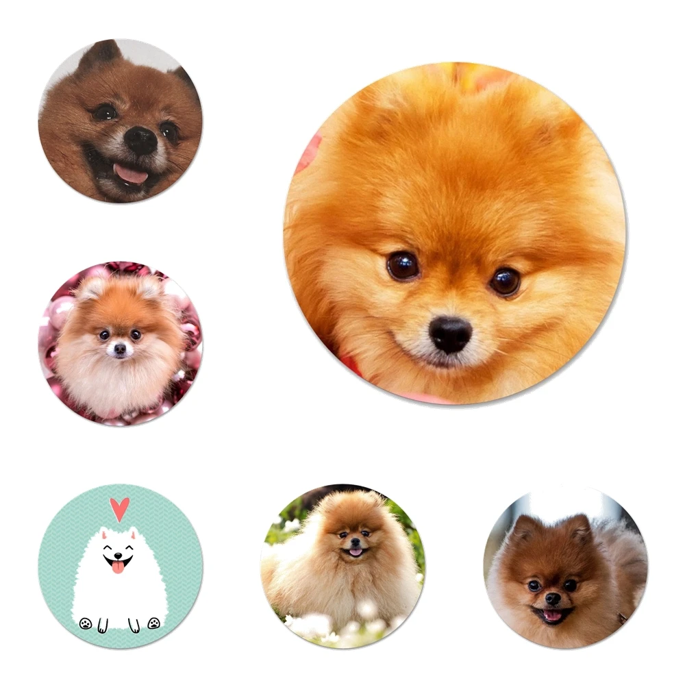 Значки для собак шпильки значки металлические фотографий|Значки| |